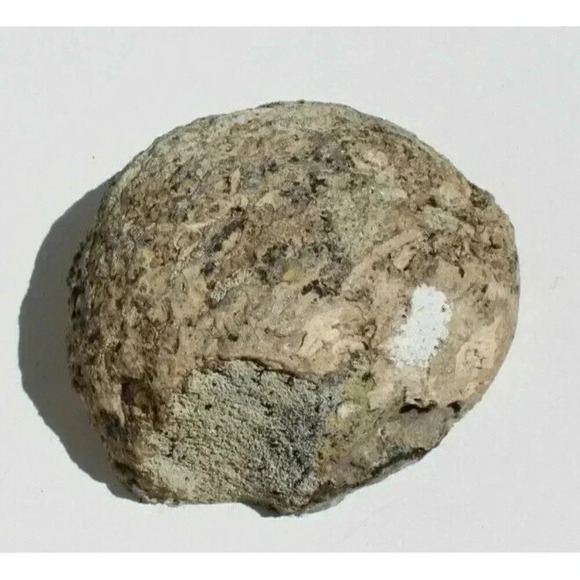 Amethyst Quartz Crystal Agate Geode Nodule Specimens 1.5 lbs 25.2 oz - Picture 7 of 7